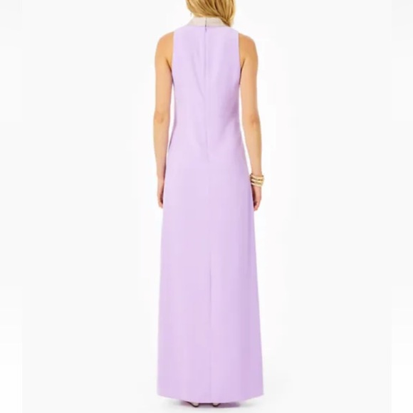 Last Chance on Lilly Pulitzer Jane Maxi Dress sz 4 - Picture 8 of 13